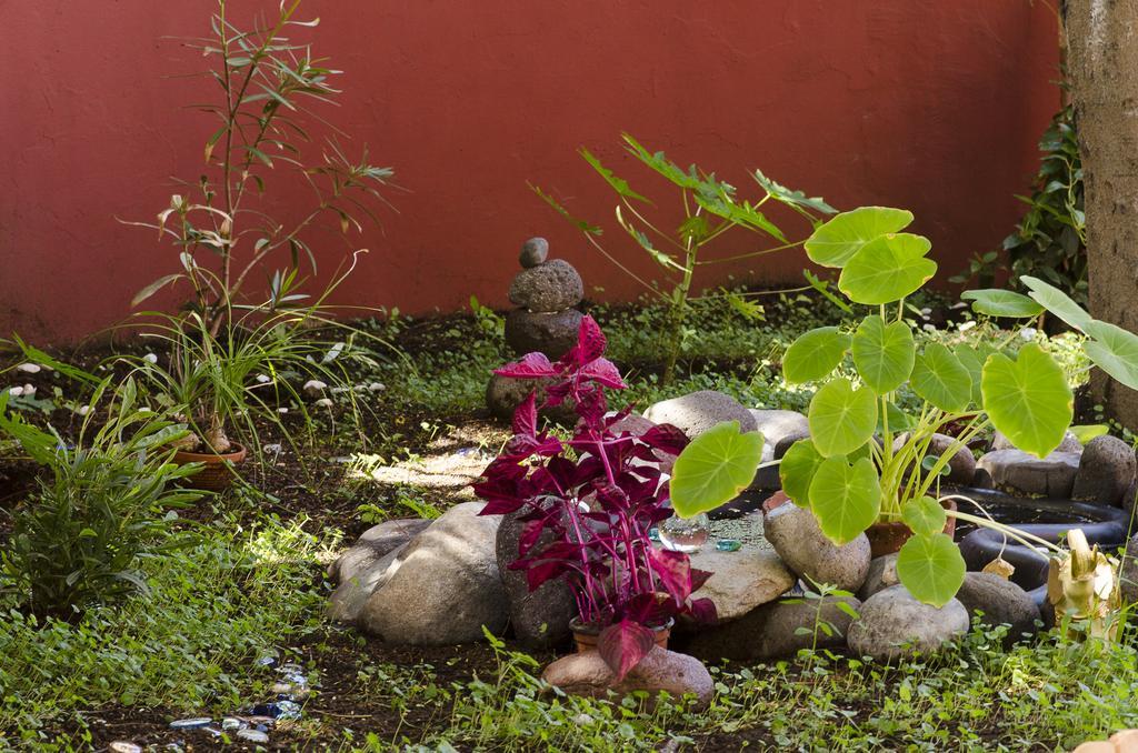 Bed and breakfast Katanka Las Palmas de Gran Canaria